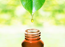 Load image into Gallery viewer, Herbo Respiratol Relief™