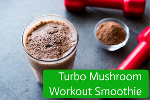 Turbo-Mushroom™ Plant Powder - YouPhorBee Naturals